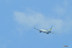 函館空港にて⑤