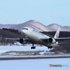 鉄の鳥