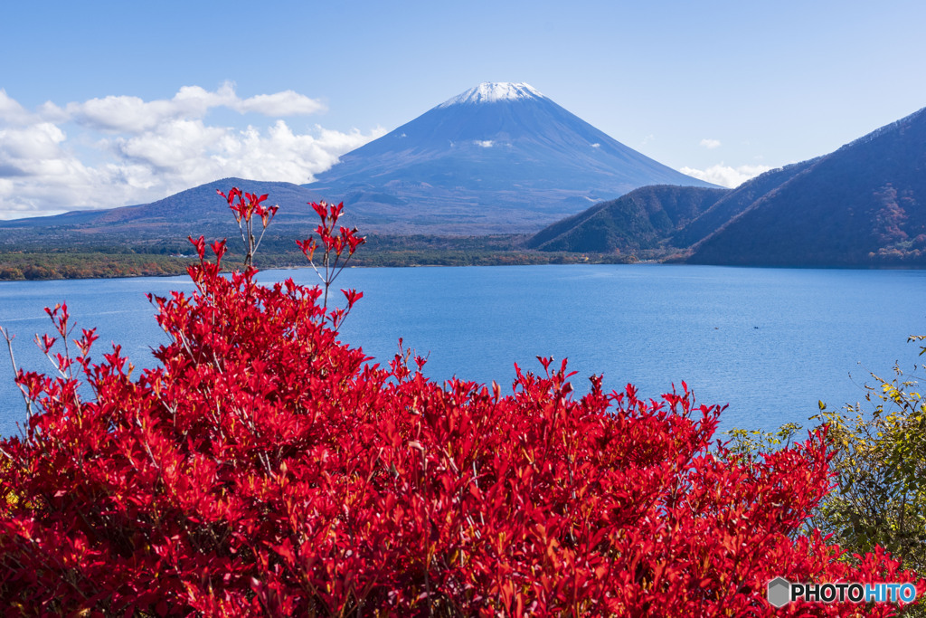 本栖湖の紅葉