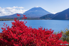 本栖湖の紅葉