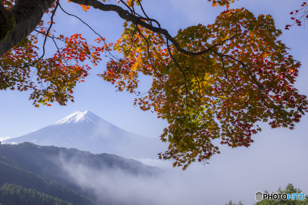 雲海＆紅葉