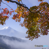 雲海＆紅葉