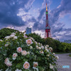 薔薇とタワー