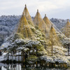 雪の兼六園