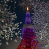 桜咲く東京タワー