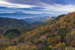 乙女高原の紅葉