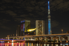 スカイツリーSDGs １７色ライトアップ
