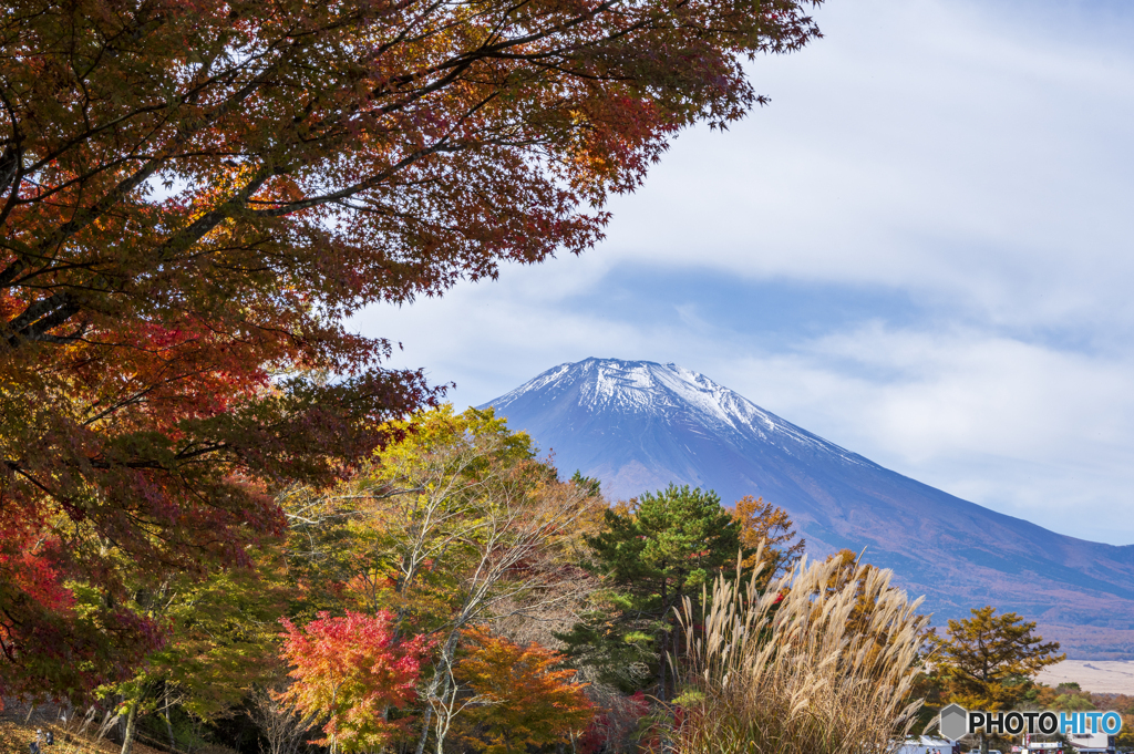 山中湖の紅葉