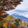 山中湖の紅葉