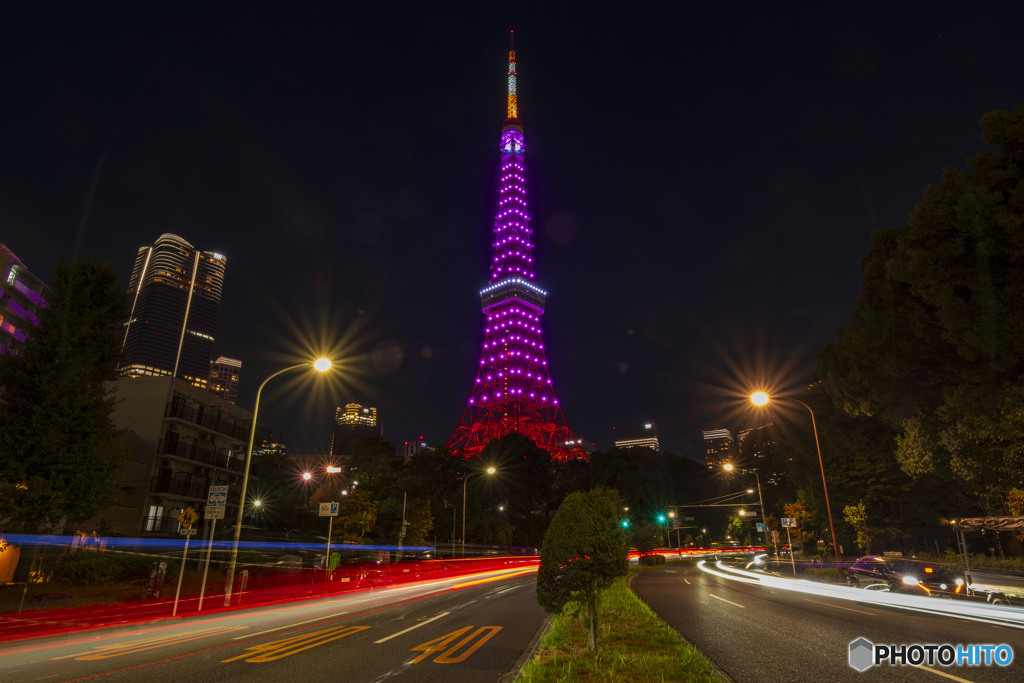 ピンクリボン　東京タワー