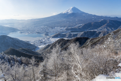 雪景色のツインテラス