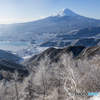 雪景色のツインテラス