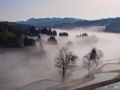 山里の朝