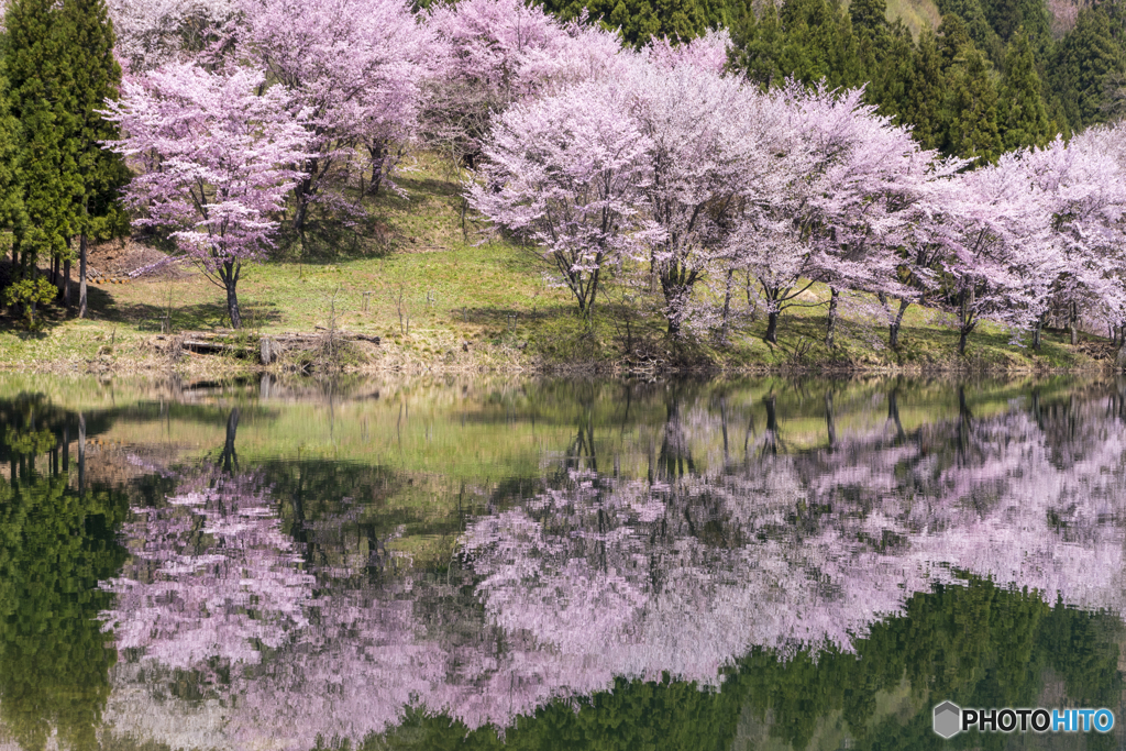 水鏡