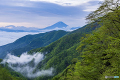 新緑と富士山