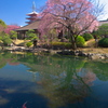 伝法院庭園