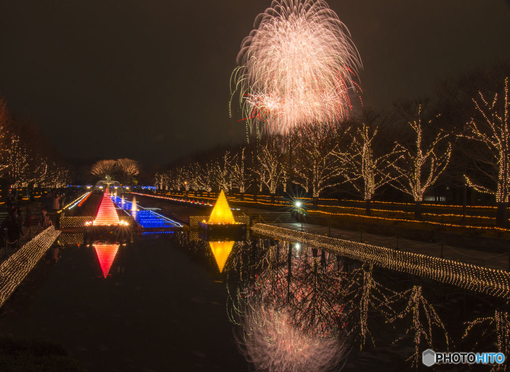 昭和記念公園　冬花火