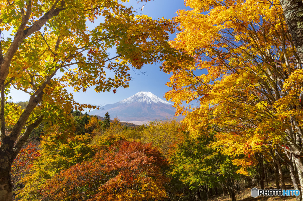 2023二十曲峠の紅葉