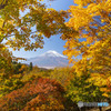 2023二十曲峠の紅葉