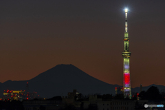 正月カラーのスカイツリー