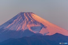 伊豆からの富士山