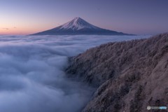 雲上の夜明け