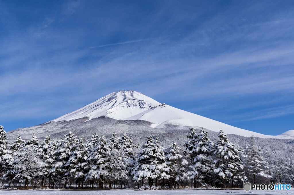4月の雪景色