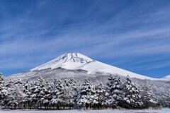 4月の雪景色