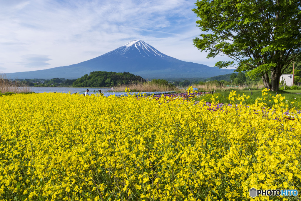 大石公園