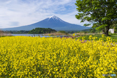 大石公園