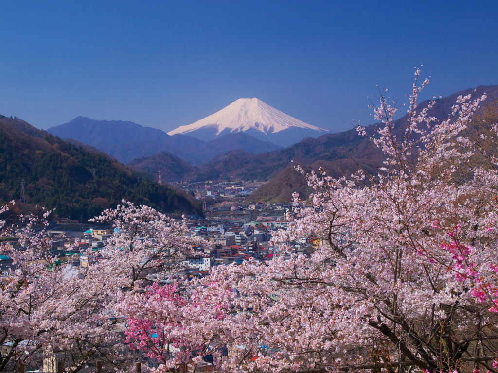 春の富士山
