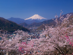春の富士山