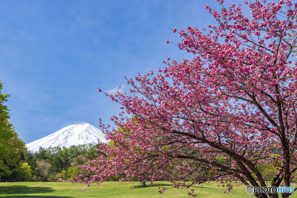諏訪の森自然公園２