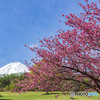 諏訪の森自然公園２