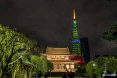 増上寺ライトアップ