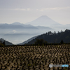 晩秋の里山