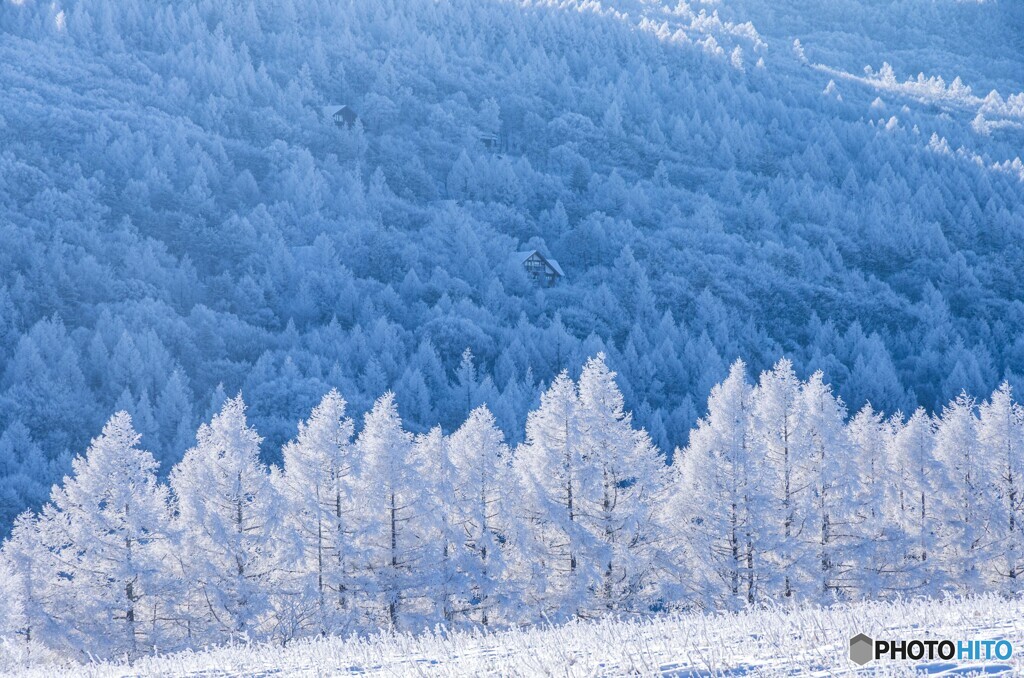 SnowField