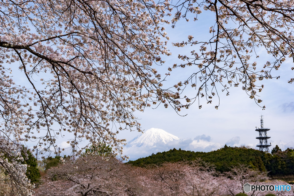 岩本山公園