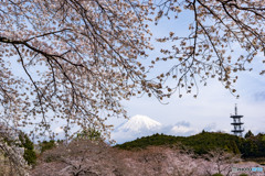 岩本山公園