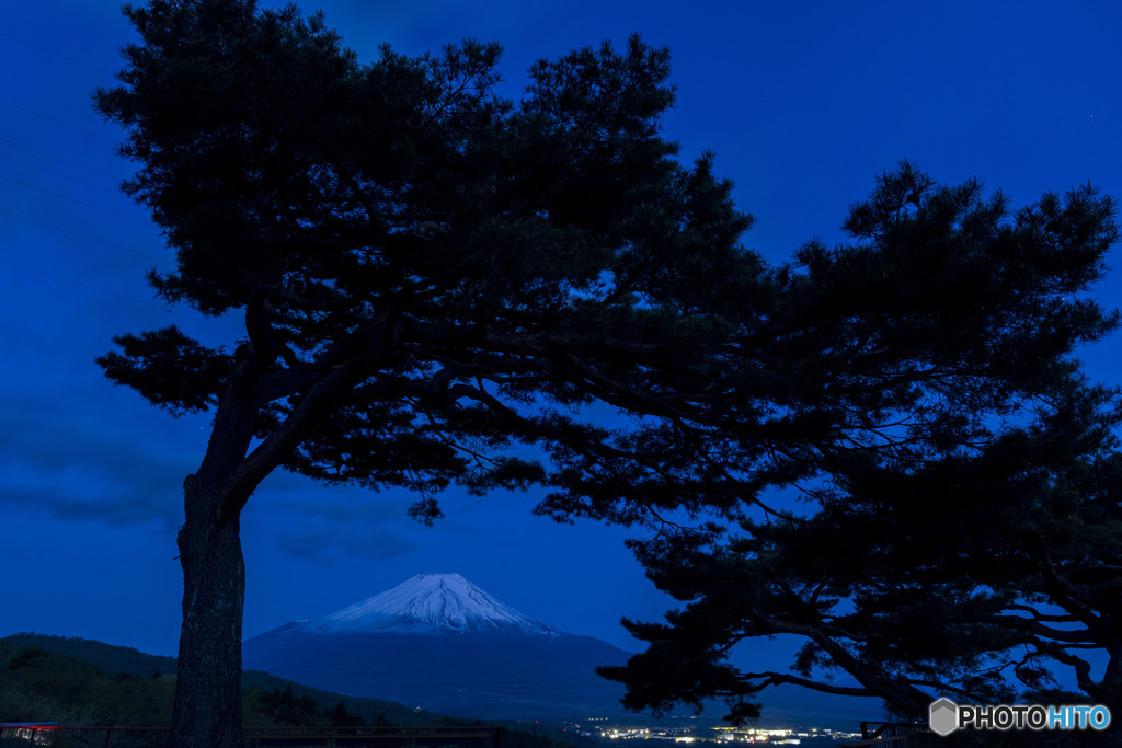 松と夜明け前の富士山