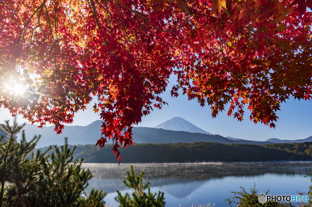 2023西湖の紅葉