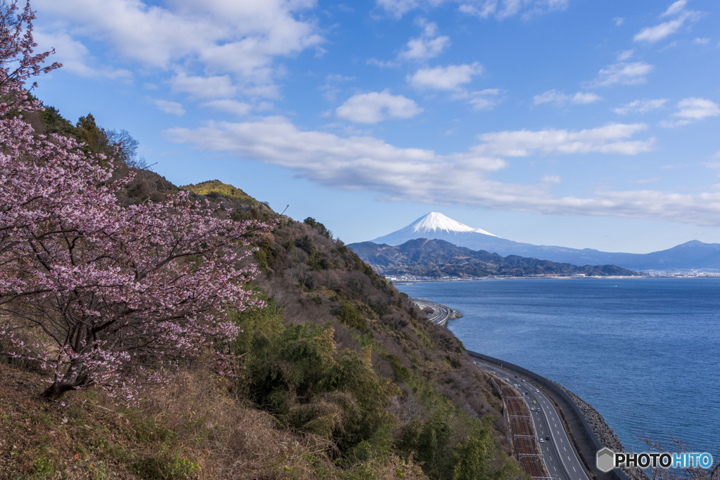 桜満開のさった峠