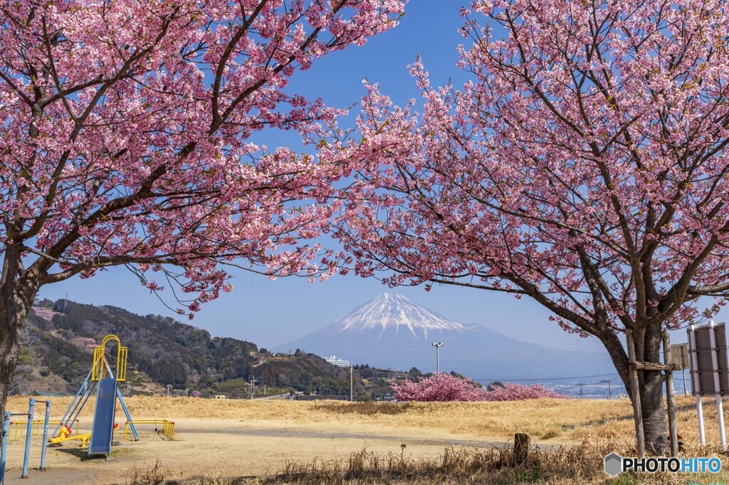 春うらら