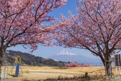 春うらら
