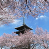 香林寺の春