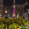 東京パラリンピック聖火リレー　ライトアップ