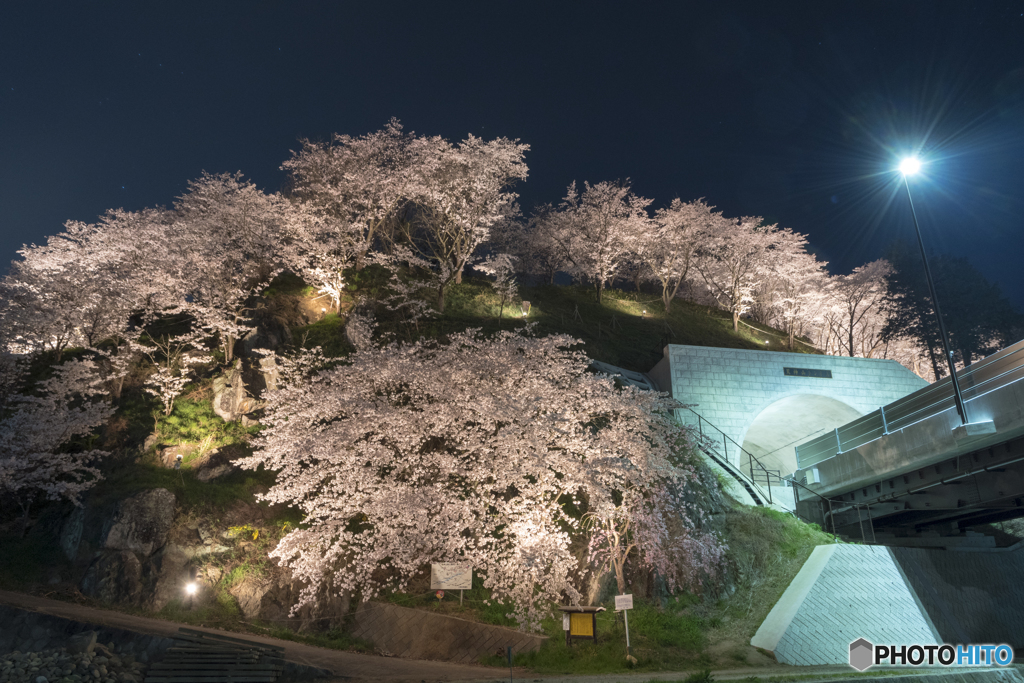 荒神山桜公園のライトアップ