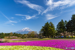 本栖リゾート