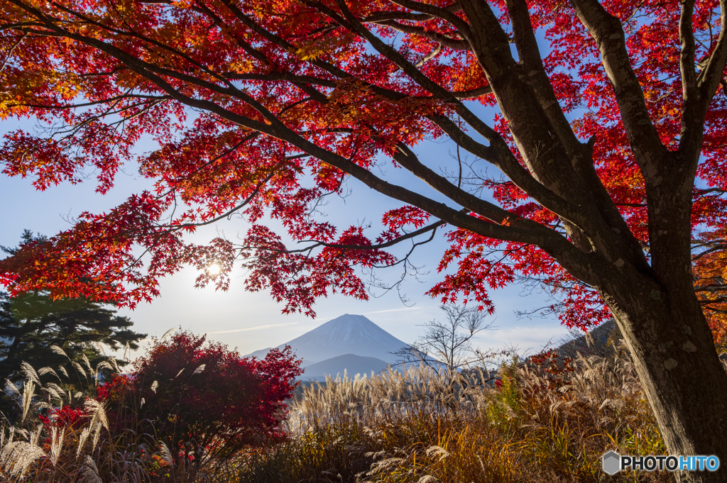 精進湖の紅葉