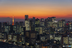 東京タワーと夕景